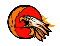 Информационная среда подготовки спортсменов БК Феникс (направление  - Стритбол / баскетбол 3х3 )